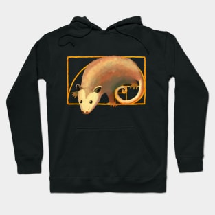 Fibonacci Spiral Opossum | Possum in Golden Ratio Spiral Hoodie